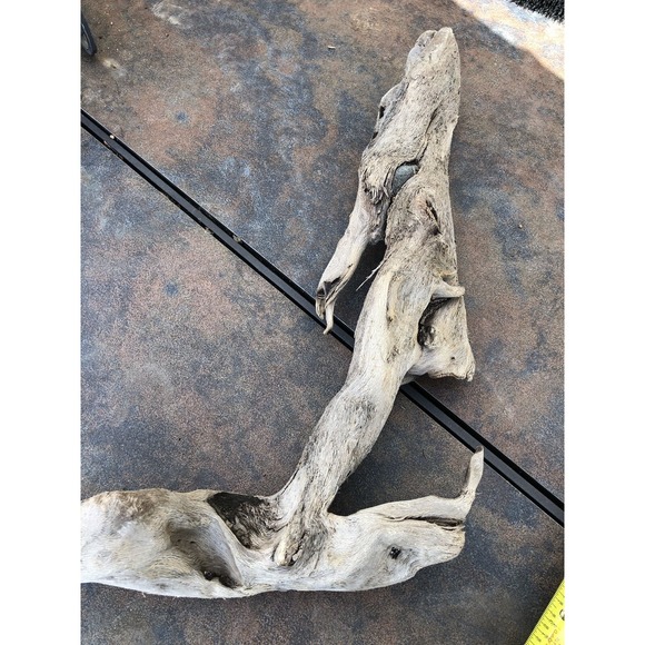 Natural Driftwood for Plants Terrarium Taxidermy Art Projects - Picture 7 of 8